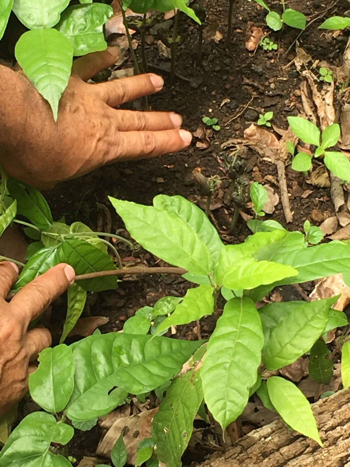 2017-06-11 11.02.43-1